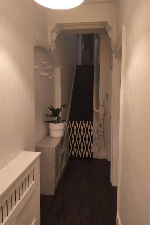 Апартаменты Aunty Katie'S House, Ni Tourist Board Certified With Free Continental Breakfast Белфаст Экстерьер фото